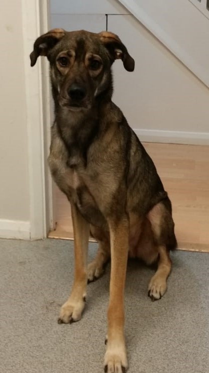 ARCHER - MILTON KEYNES